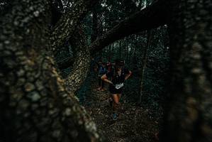 BIB: 
                            <button type="button" onclick="openModal(25688630)" class="btn btn-primary btn-sm float-right btn-popup" data-toggle="modal" data-target=".modal-high-quality">
                        <i class="fas fa-shopping-cart"></i> Add to Cart
                    </button>
                                            <button type="button" onclick="isThisMe(25688630, true)" class="btn btn-success btn-sm float-right btn-popup btn-isme hidden" data-toggle="tooltip" data-placement="bottom" title="นี่คือรูปของคุณใช่ไหม คลิกที่นี่เพื่อเอาเข้าอัลบั้ม">
                        <i class="fas fa-plus"></i> Add to album
                    </button>
                    <button type="button" onclick="isThisMe(25688630, false)" class="btn btn-warning btn-sm float-right btn-popup btn-isnotme hidden">
                        <i class="fas fa-ban"></i> Remove from album
                    </button>